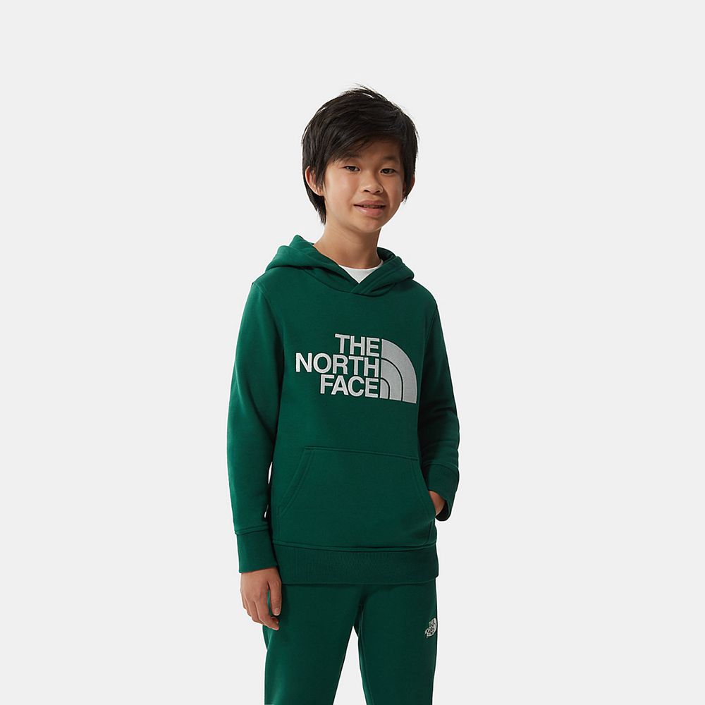 The North Face Hoodie Youth Australia - The North Face Drew Peak Green (UXW-057619)